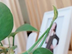 -真我樣照相馆·身份证·证件照·外拍(环球港店)