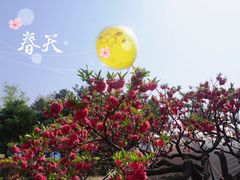 -青龙湖公园