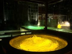 -春晖园度假酒店温泉