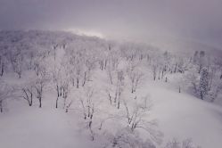 -大秃顶子山(雪谷店)