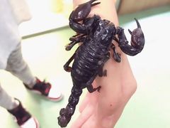 -藦茜花园宠物主题亲子互动体验馆(国顺东路店)