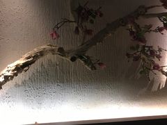 -大桶大足浴(陈春路店（3公里左右免费接送）)