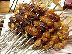 -鼎原力量东北吊炉烧烤(临河街店)