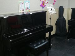 -柏斯琴行(汾阳店)