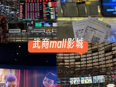 -武商摩尔影城(国广IMAX激光店)