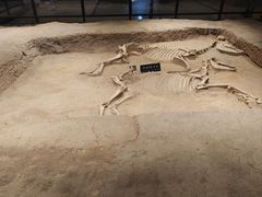 -洛阳周王城天子驾六博物馆