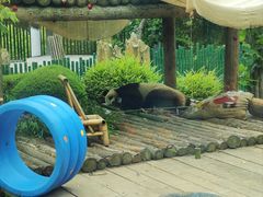 -大连森林动物园