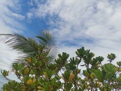 -三亚西岛海洋文化旅游区
