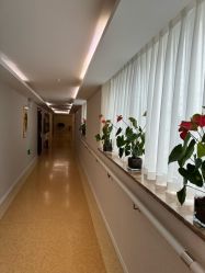 -雪绒花月子会所(祥盛店)