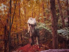 -森波拉奇妙世界