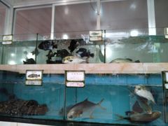 水产区-秋姐美食店(旅游大道店)