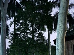 -中山大学广州校区南校园怀士堂