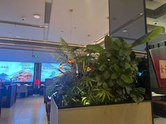 -辛香汇·现炒川菜(城北万象城店)