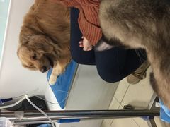 -纳吉亚猫专科动物诊疗中心(蒋宅口分院)