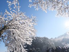 -黄山风景区