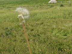 -新疆那拉提国家旅游度假区