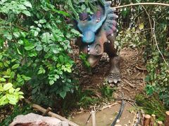 -呀路古热带植物园