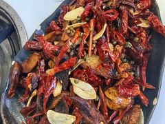 -蘑统田下·野生菌火锅