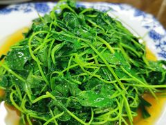 酒香金花菜-协和菜馆(凤凰街店)