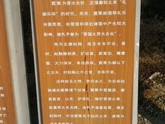 -五龙城郊森林公园