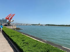 -日照世帆赛基地