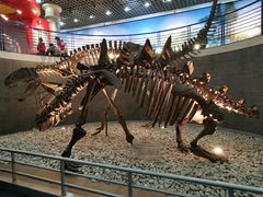 -国家自然博物馆