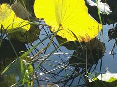 -香山公园-东宫门售票处