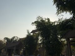 -桤木河湿地公园