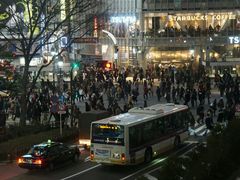 -涩谷区
