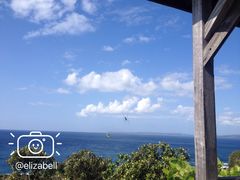 凉亭的大蜘蛛-鹅銮鼻公园