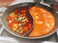 红汤梭边鱼锅-新辣道鱼火锅(西直门店)