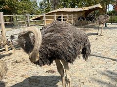 -泗洪洪泽湖湿地景区