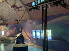 -烟台海昌鲸鲨海洋公园