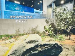 -北京周口店北京人遗址博物馆