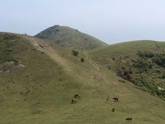 -大姆山草场