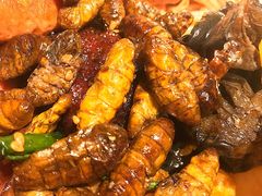 -格瑞欧海鲜自助烤肉火锅(光彩店)