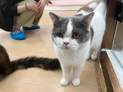 -1013 PET SHOP 宠物商店(近铁城市广场店)