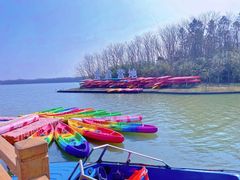 -上海海湾国家森林公园