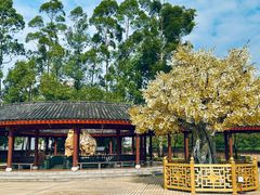 -广东圆玄道观