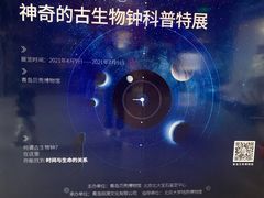 -青岛贝壳博物馆