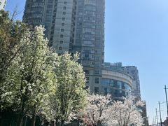 -上海电影博物馆