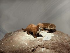 -中国湿地博物馆