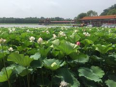 -南戴河国际娱乐中心