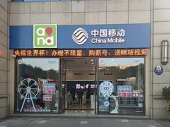 -中国移动(金科路营业厅)