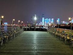 -武汉两江游览·夜游长江(汉口粤汉码头)