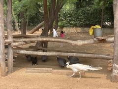 -秦皇岛野生动物园