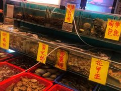 -鲜入围煮花胶鸡海鲜火锅