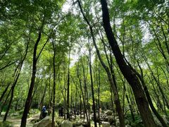 -玉渡山自然风景区