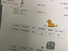 -荔康动物医院(康王北路店)