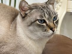 -共舞时光猫咖·狗咖(新街口店)